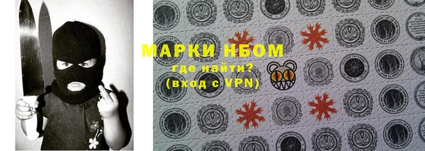 хмурый Щучье