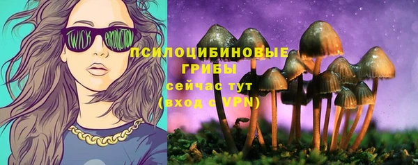 хмурый Щучье