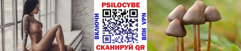 Псилоцибиновые грибы Psilocybe  Купить  Первомайск 